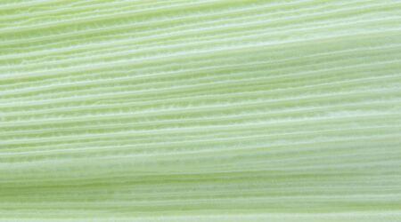 sweet corn shell textureの写真素材