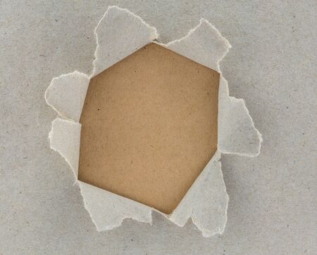 Ripped paper, space for copyの写真素材