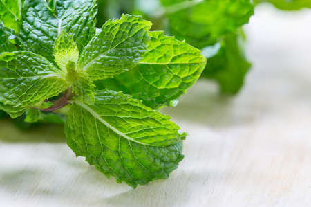 Fresh mint on wooden background