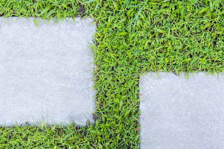 concrete floor and grass backgroundの写真素材