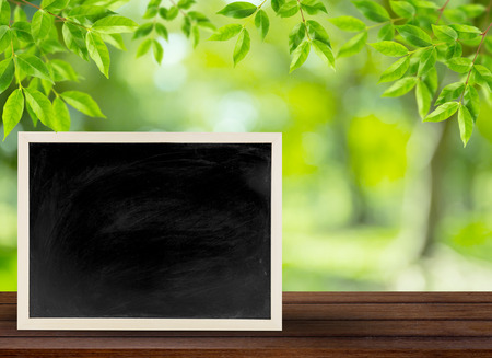 blackboard with wooden bamboo frame, blackboard on nature background for concept educationの写真素材