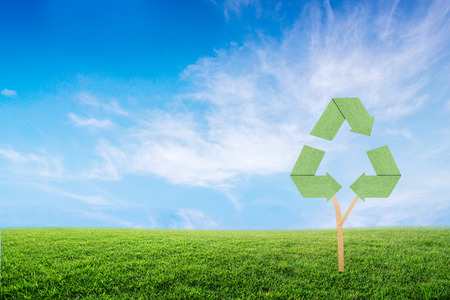 Concept recycle of life. Big alone tree in the field.の写真素材