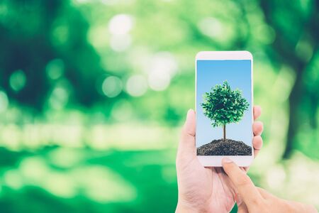 Hand of man holding mobile phone with soil and tree on screen, environment concept.の写真素材