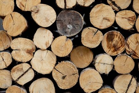 timber with stacked for building pattern, logs wood lumber background, material of wooden tree for...