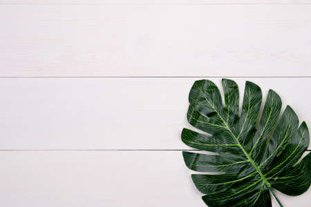 Leaf on wooden table, composition with top view, branch and leaves on wood desk with copy space, texture background, foliage tropical, nobody, flat lay, minimal concept. decoration with natural.の写真素材