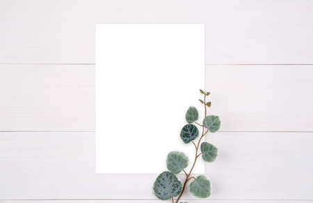 Blank paper sheet copy space with mockup and leaf on wooden table, poster and invitation, postcard...