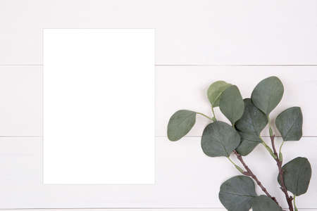 Blank paper sheet copy space with mockup and leaf on wooden table, poster and invitation, postcard decoration your design or branding, simplicity and minimal, nobody, flat lay, top view.の写真素材