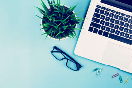 Flat lay of Laptop computer and plant on desk in office, workplace and notebook and glasses and potted tree and pin, workspace and copy space, top view, object with above, nobody, business concept.の写真素材