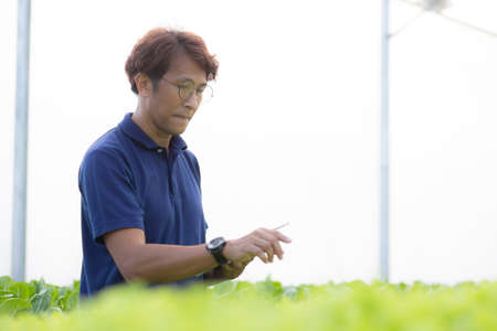 Young asian man examining vegetables lettuce with tablet computer in hydroponic system organic farm,...