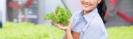 Young asian woman working in hydroponic system vegetables organic lettuce farm, female is harvest for agriculture at greenhouse, entrepreneur examining farmland and industry in the plantation.の写真素材