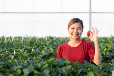 Happiness portrait entrepreneur young asian woman smile and holding strawberry in strawberry farm at greenhouse, female proud with small business and cultivation with agriculture, one person.の写真素材