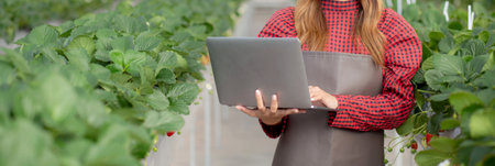 Entrepreneur young asian woman check cultivation strawberry with happiness for research with laptop computer in farm greenhouse, female examining strawberry with agriculture, small business concept.の写真素材