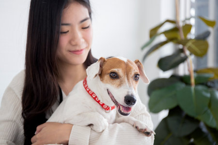 Young asian woman carrying with dog with love in living room at home, friends pet with companion,...