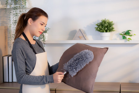 Young asian woman in casual used handheld duster to clean pillow in living room at home, woman dusting pillow, housekeeping and housework, household and lifestyle.の写真素材