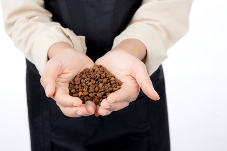 Closeup hand barista woman wearing apron holding beans coffee isolated white background, waitress or entrepreneur, small business or startup, waiter of cafe or coffee shop.の写真素材