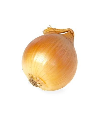 Onion isolated on a white backgroundの写真素材
