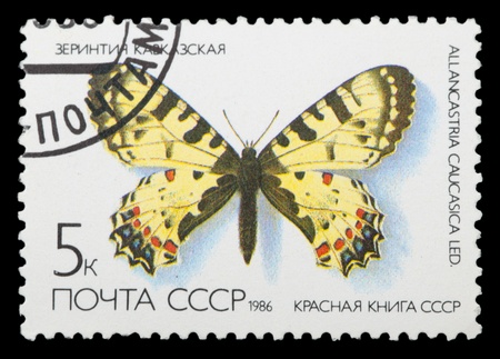 USSR - CIRCA 1986: A stamp is printed in USSR, shows the rare type of butterfly, circa 1986