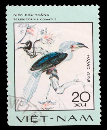 VIETNAM - CIRCA 1977: A stamp printed in Vietnam shows animal bird white-crowned hornbill Berenicornis comatus, circa 1977の写真素材