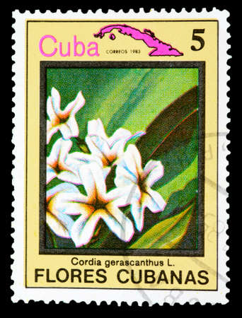 CUBA - CIRCA 1983: A Stamp printed in Cuba shows image flower, circa 1983の写真素材