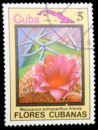 CUBA - CIRCA 1983: A stamp printed in CUBA shows a Melocactus actinacanthus Areces, series, circa 1983の写真素材