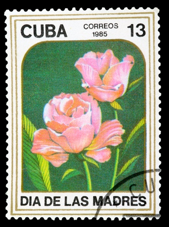 CUBA - CIRCA 1985: A stamp printed in CUBA shows Two roses, circa 1985の写真素材