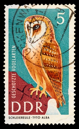 GDR - CIRCA 1967: A Stamp printed in GDR (East Germany) shows the image of a bird - Barn Owl with the inscription "Tyto Alba" from the series "Protected birds", circa 1967の写真素材