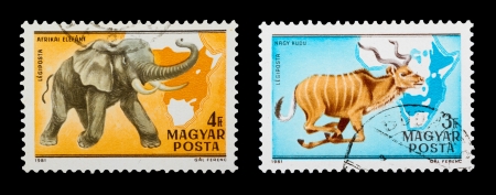 HUNGARY - CIRCA 1981  A set of postage stamps printed in HUNGARY shows wild animals, series, circa 1981のeditorial素材