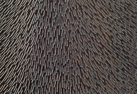 The texture backgroundの写真素材