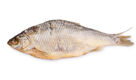 dried fish isolated on a white backgroundの写真素材