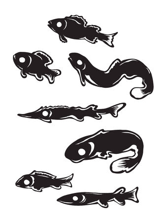 cartoon river fish isolated on a white backgroundのイラスト素材