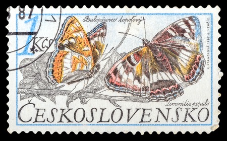 CZECHOSLOVAKIA- CIRCA 1987: a stamp printed in the Czechoslovakia, shows butterfly Limenitis populi, series Butterflies, circa 1987のeditorial素材