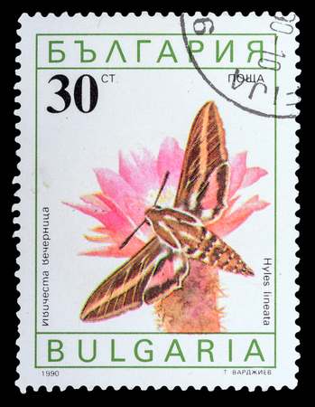 BULGARIA - CIRCA 1990: a stamp printed in the Bulgaria, shows butterfly hyles lineata, series Butterflies, circa 1990の写真素材