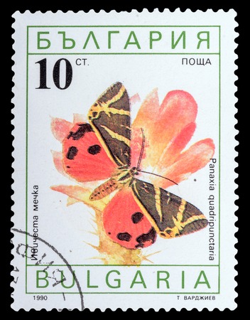 BULGARIA - CIRCA 1990: a stamp printed in the Bulgaria, shows butterfly panaxia quadripunctaria, series Butterflies, circa 1990の写真素材