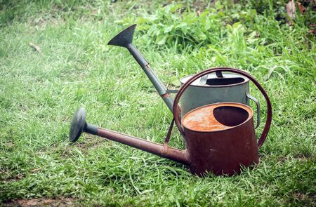 watering watering can on a green lawnの写真素材