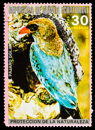 REPUBLIQUE DE GUINEE - CIRCA 1972: A stamp printed in Republique de Guinee shows wild birds, series animals, circa 1972のeditorial素材