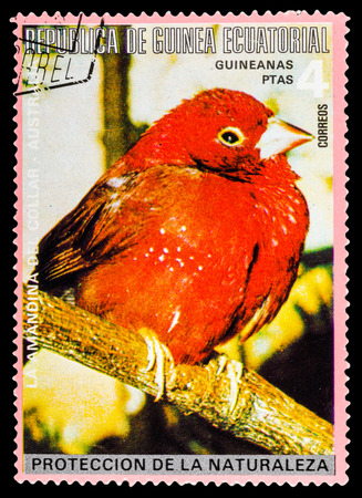 REPUBLIQUE DE GUINEE - CIRCA 1972: A stamp printed in Republique de Guinee shows wild birds, series animals, circa 1972のeditorial素材