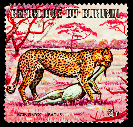 BURUNDI - CIRCA 1973: A stamp printed in Burundi shows Animal World of Africa, series, circa 1973のeditorial素材