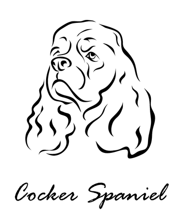 Vector illustration. Illustration shows a dog breed Cocker Spanielのイラスト素材