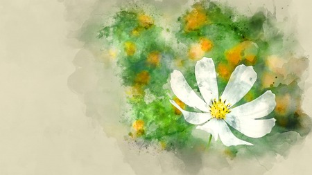 White flower garden. Chamomile. Watercolor backgroundの写真素材