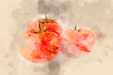 Three ripe red tomatoes. Watercolor backgroundの写真素材