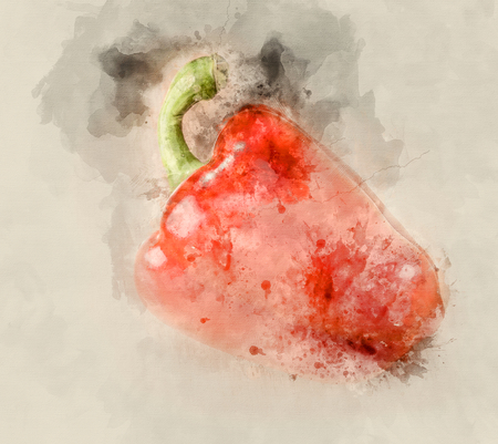 Fresh red peppers. Watercolor backgroundの写真素材