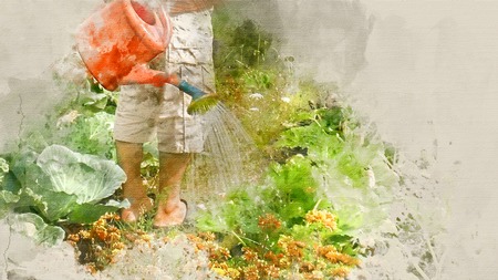 Man watering the crop. Watercolor backgroundの写真素材