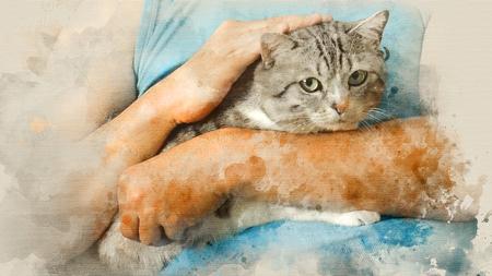 Cat in the hands of the owner. Portrait of cat with green eyes. Watercolor backgroundの写真素材