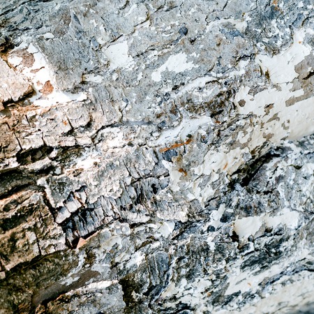 Wood texture close upの写真素材