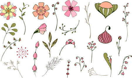 Doodling style leaves, flowers and twigs set, handmade exclusive drawing. Vector illustrationのイラスト素材