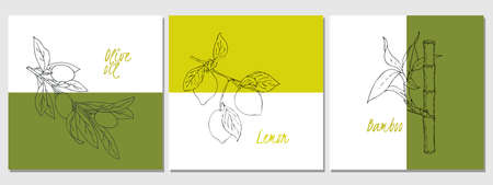 Set of banners lemon olives bamboo, doodling, hand drawing. Background backdrop banner label flyer. Uniform design style. Vector illustrationのイラスト素材