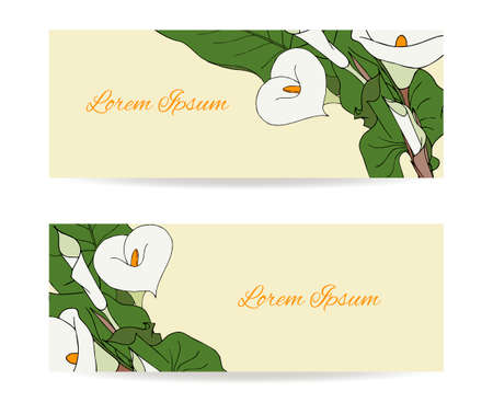 Calla flower set postcard coupon voucher banner background for design, for congratulations, invitations, place for an inscription, hand drawing. Vector illustrationのイラスト素材