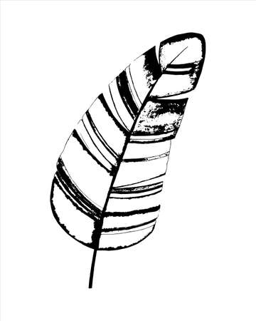 Banana leaf tropical, hand drawing, stylized graphics, black white, isolated. Vector illustrationのイラスト素材