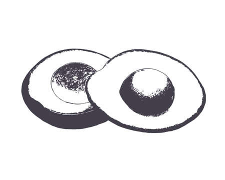 Avocado sketch stamp imprint pencil drawing, isolated, white background. Vector illustrationのイラスト素材