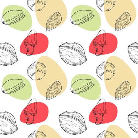 Seamless pattern with Nuts hand drawn doodle - walnut, hazelnut, almond and pistachio. Spots. White background. Vector illustrationのイラスト素材